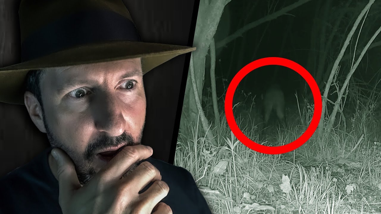 J'AI OUBLIÉ (vraiment) UNE CAMÉRA DANS LA FORÊT … Voilà ce qu’elle a filmé !