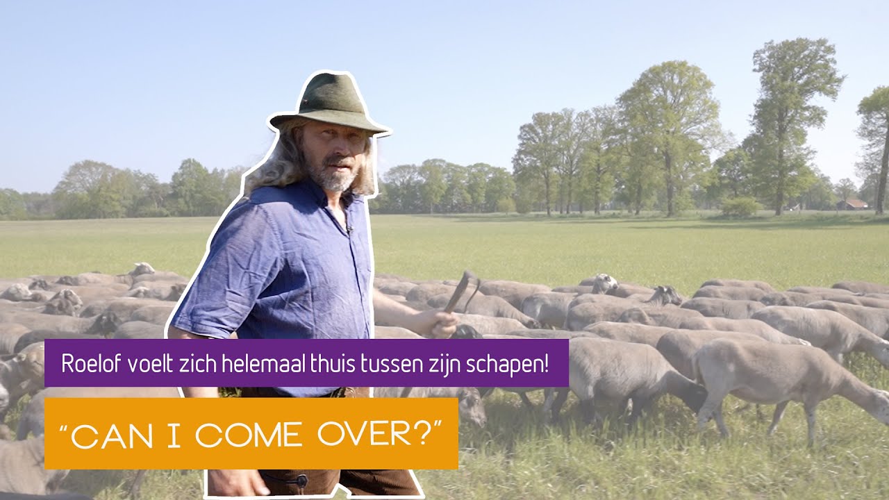 Can I Come Over - Roelof voelt zich het meeste thuis tussen zijn schapen
