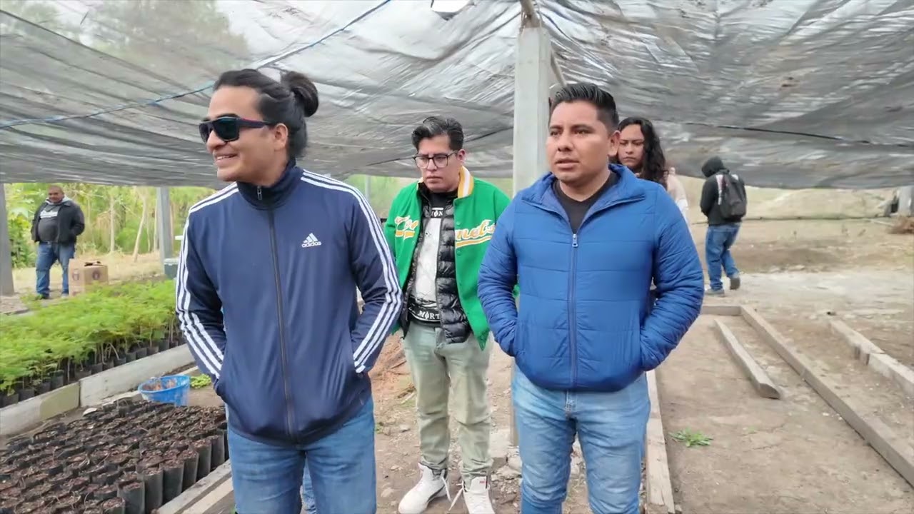 Dona para ayudar a sembrar 10,000 árboles en Lachixío, Oaxaca