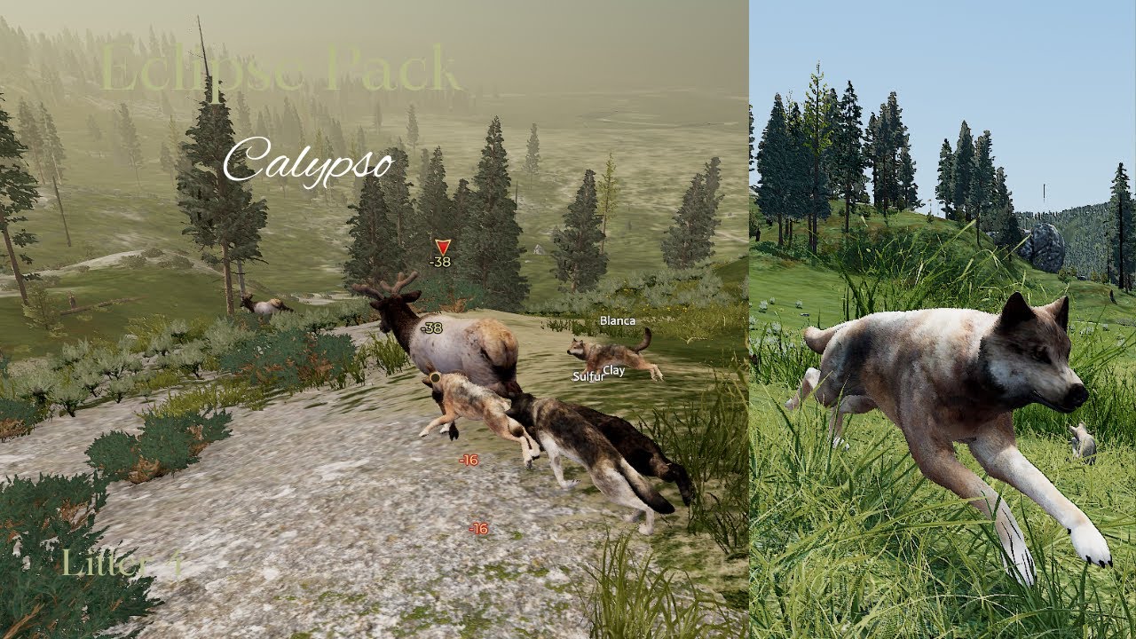 Eclipse Pack - Calypso L4 - Raise Pups/Rendezvous [WolfQuest Saga]