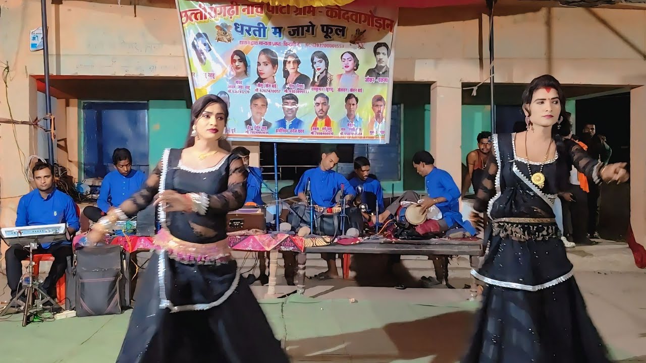 डांसर धुन,कोदवा गोड़ान कि शानदार नाच‼️सेमरकोना‼️धरती मा जागे फूल नाच पार्टी कोदवा गोड़ान,6267412139