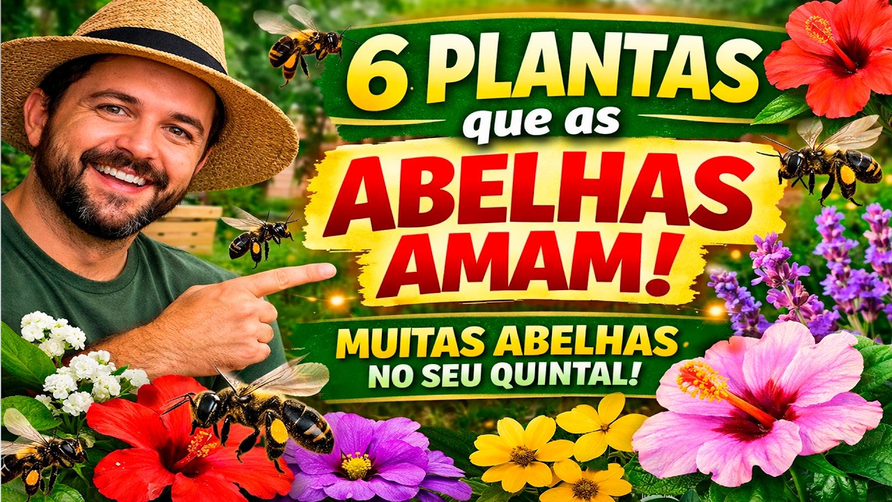 6 Plantas Que as Abelhas AMAM 🐝🌺 (Tenha Mais Abelhas Nativas no Seu Quintal!)