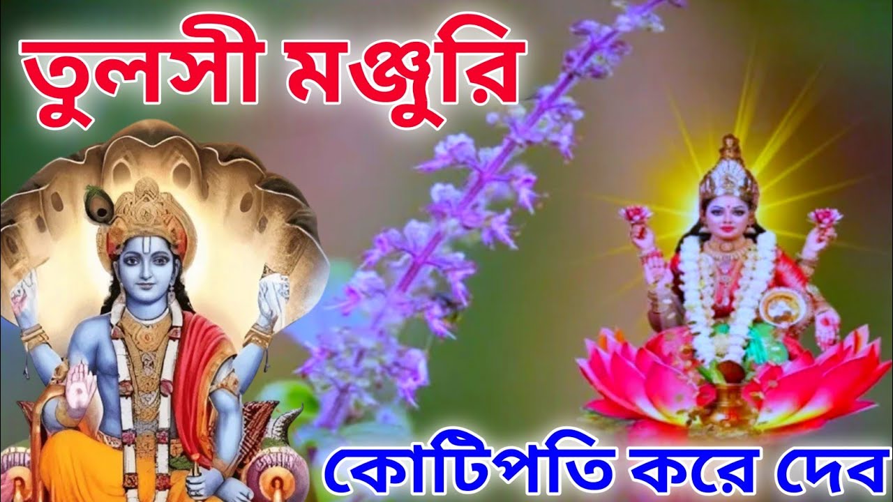 তুলসী গাছের মঞ্জুরি আপনাকে নিমেষে কোটিপতি বানিয়ে দেবে, সম্পূর্ণ গোপন টিপস। #POURANIK #VASTU_TIPS