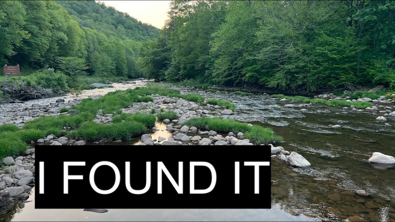 I JUST NEED A PLACE TO LAY MY HEAD/Monongahela National Forest Minivan Camping