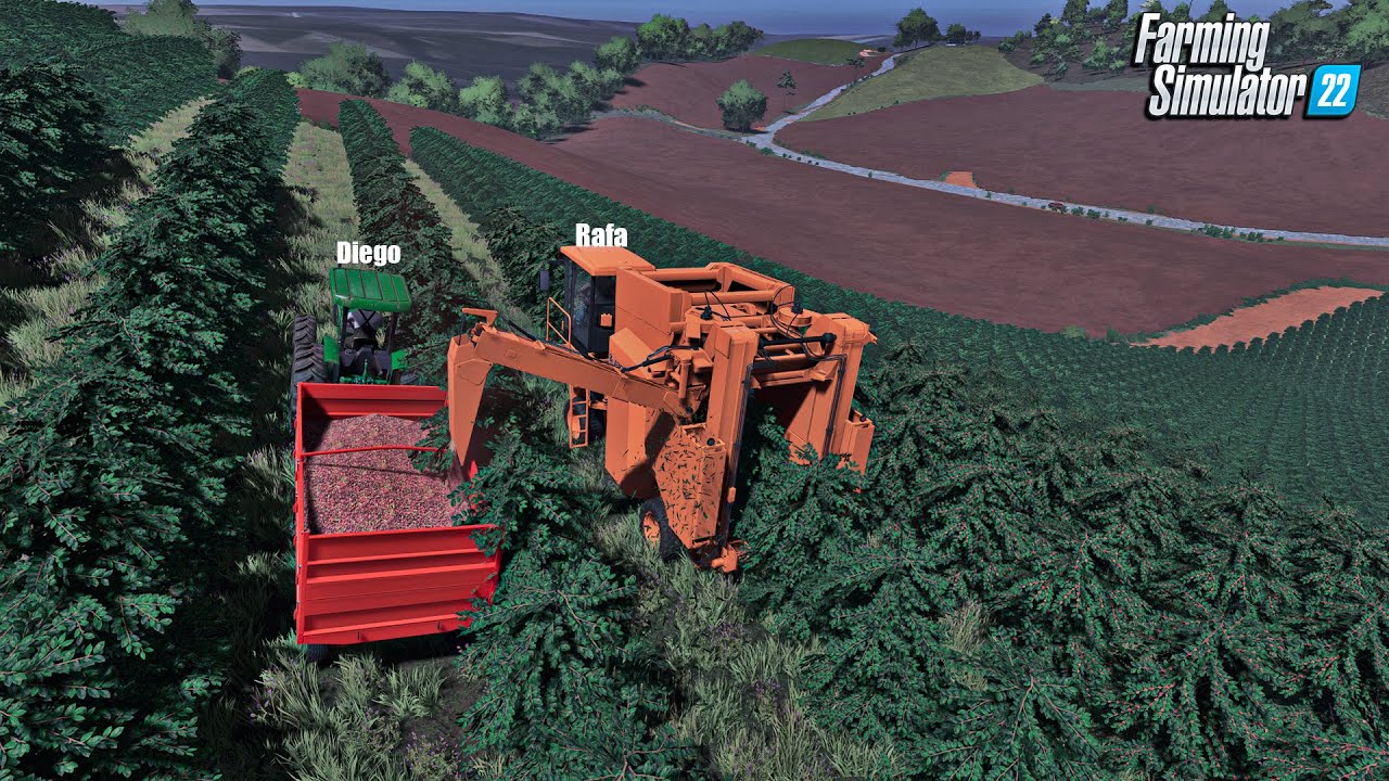 Fazenda simulada #52 | Colheita mecanizada do nosso café | Farming simulator 22