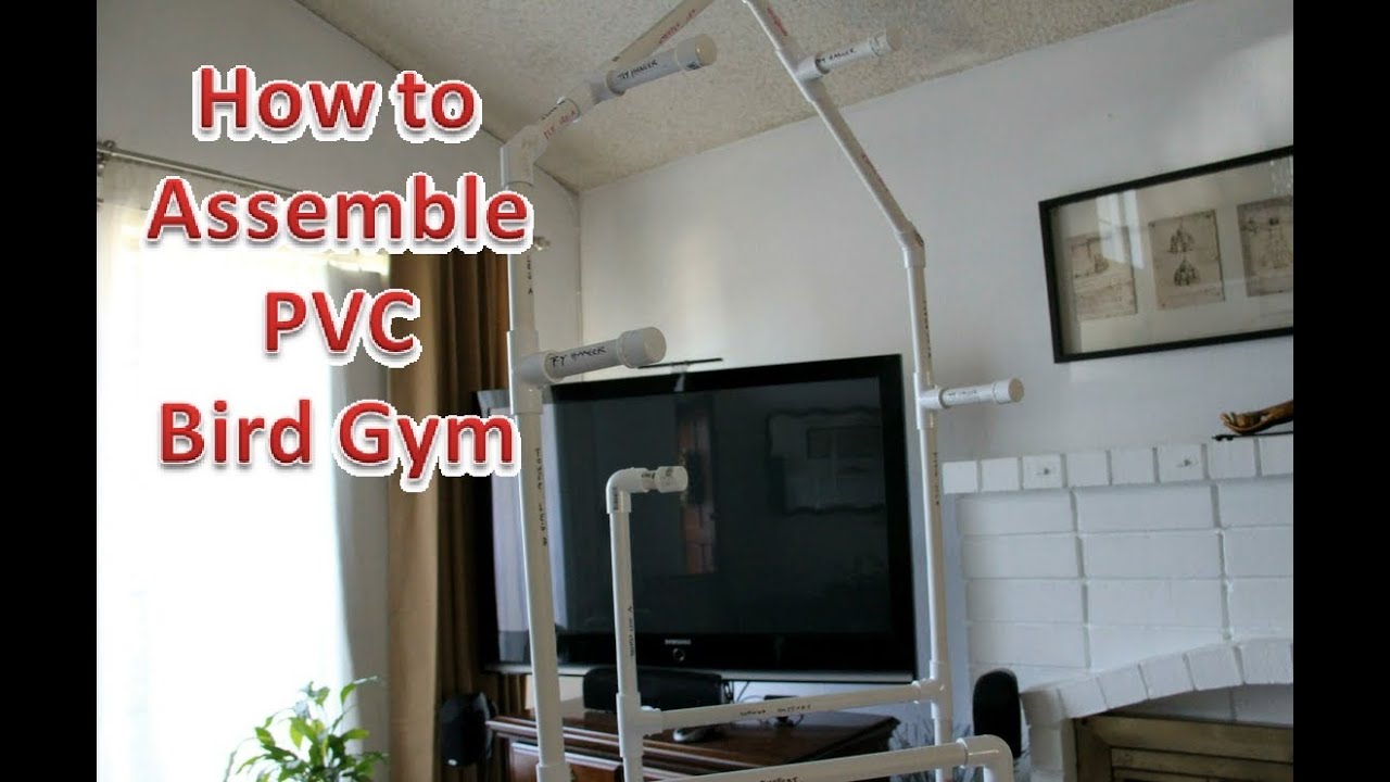 How to Assemble PVC Bird Play Gym (Supplement)