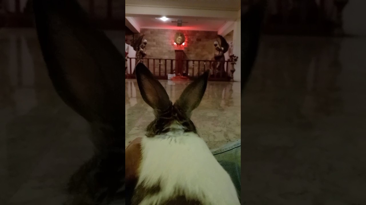#jesus