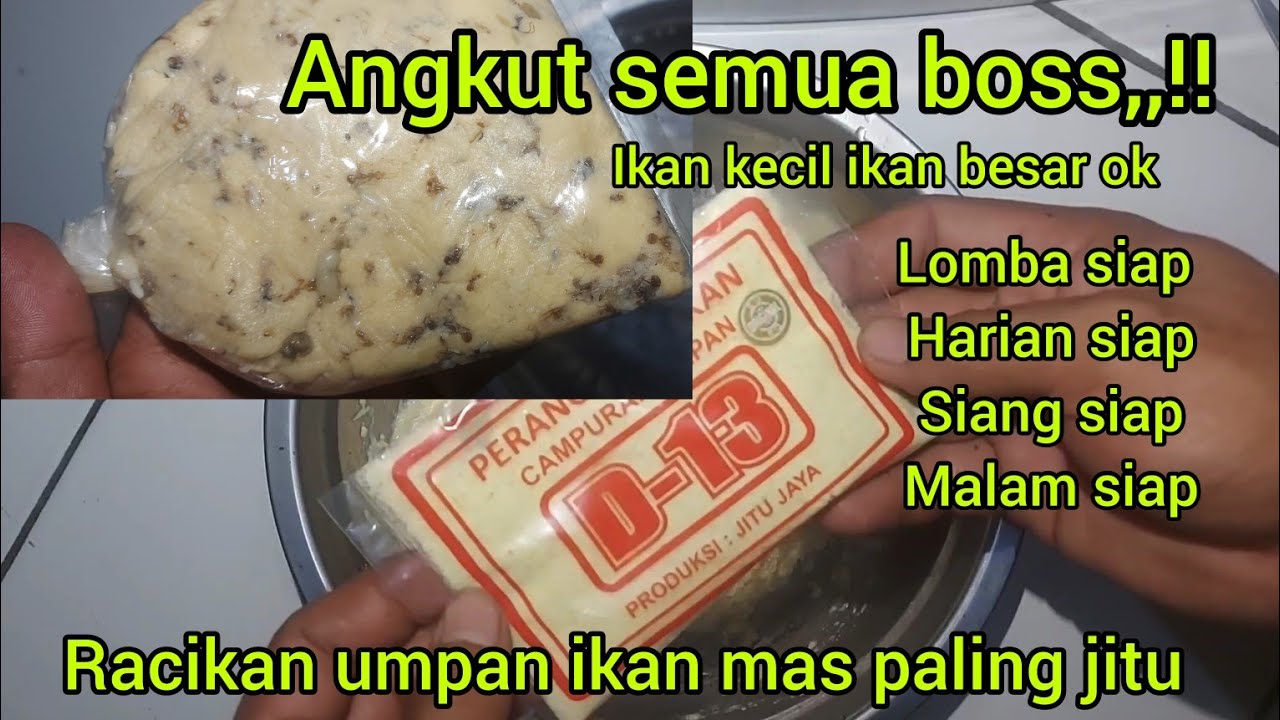ANGKUT SEMUA BOSS,,!! ikan kecil ikan besar ok,,racikan ikan mas paling jitu