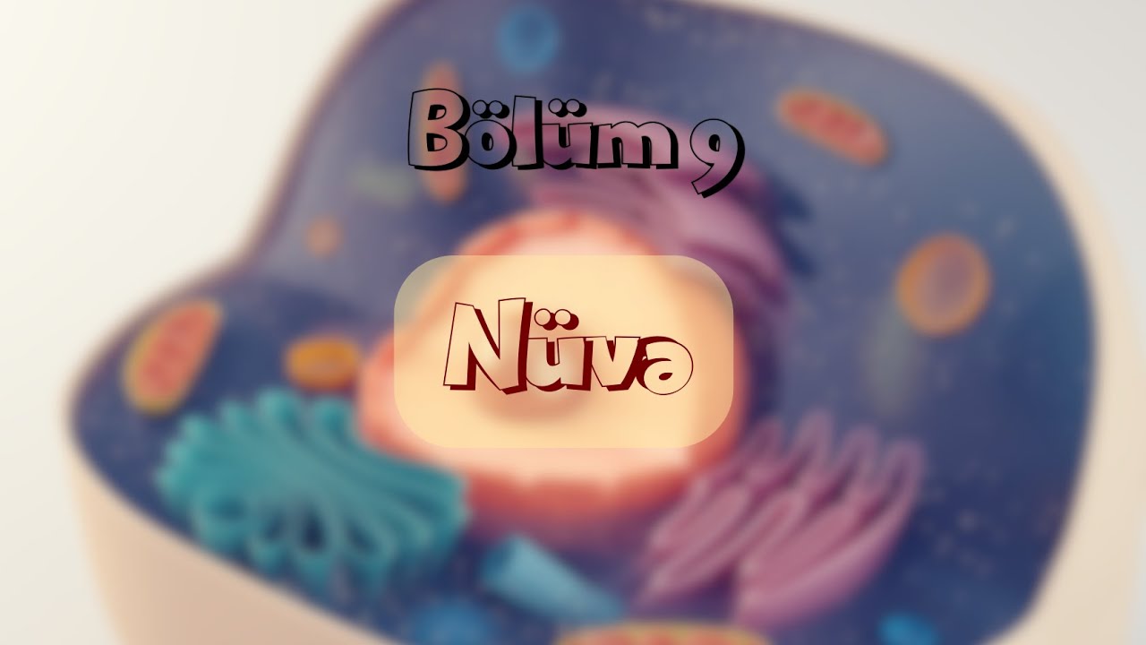 Hüceyrə Fiziologiyası: Nüvə (9)