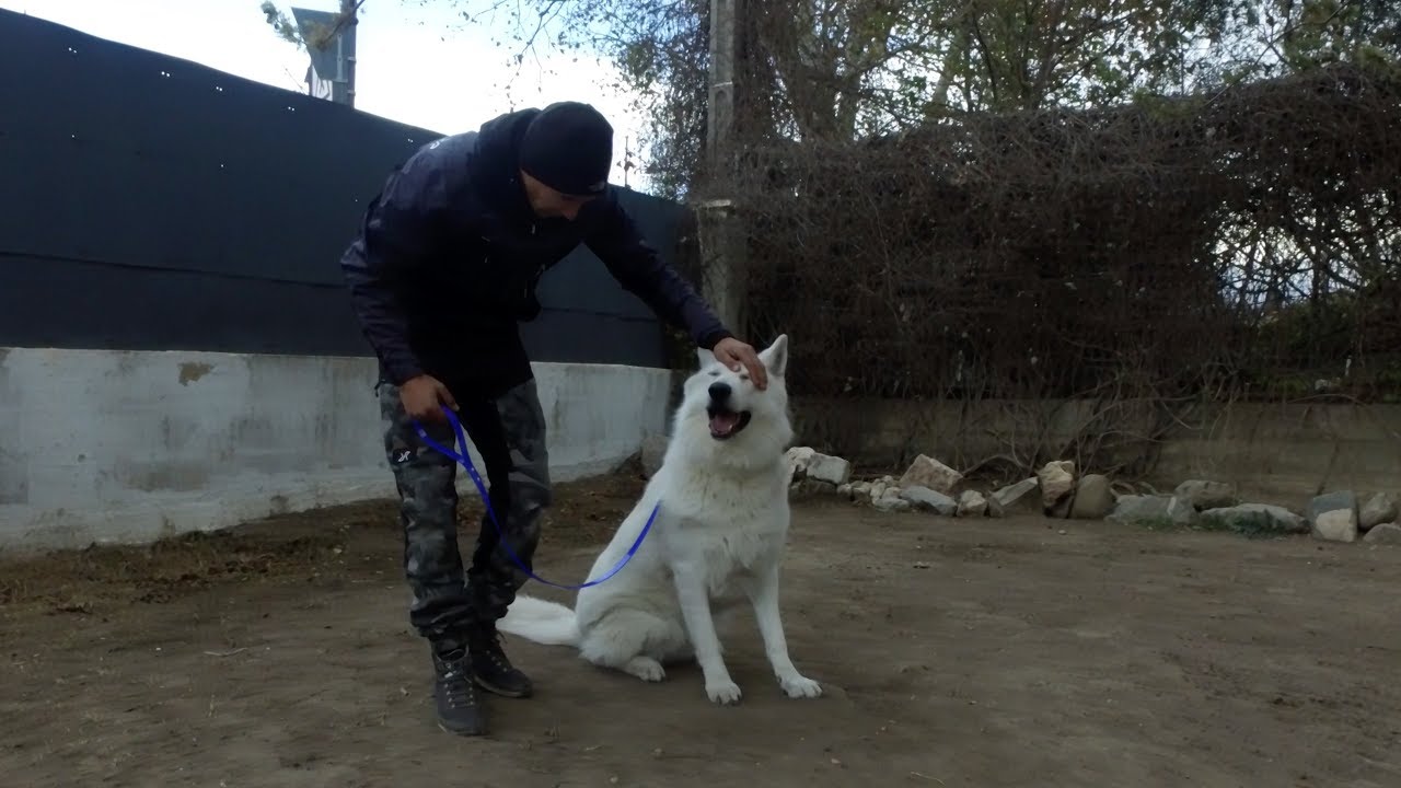 REEDUCATION BERGER BLANC SUISSE