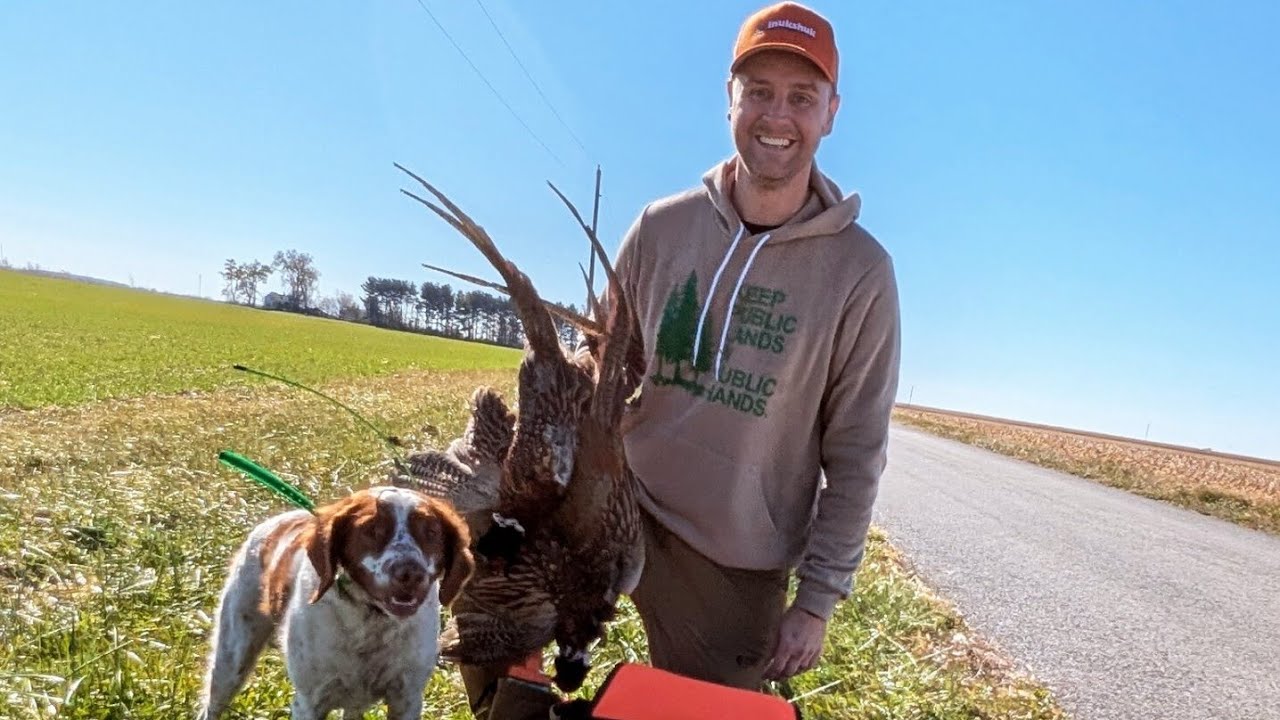 Illinois Pheasant Hunting - Opening Weekend 2025