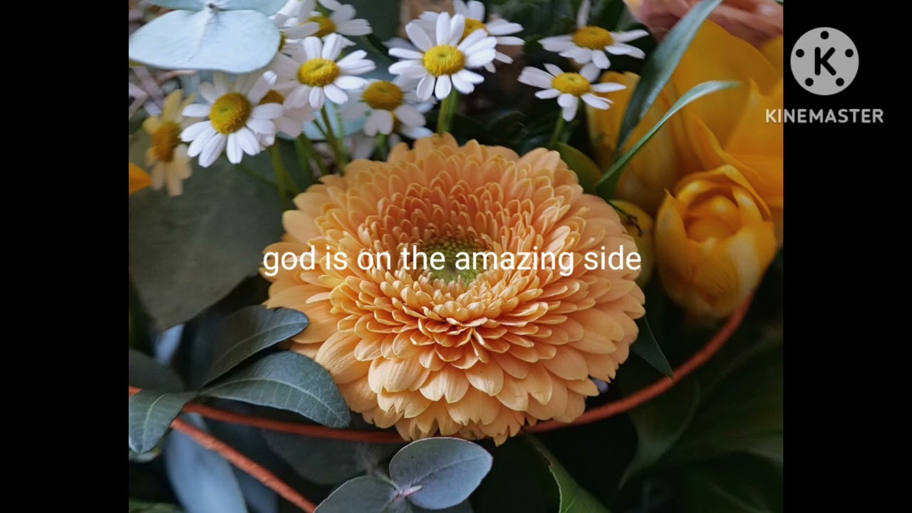 Lovely-god is on the amazing side 