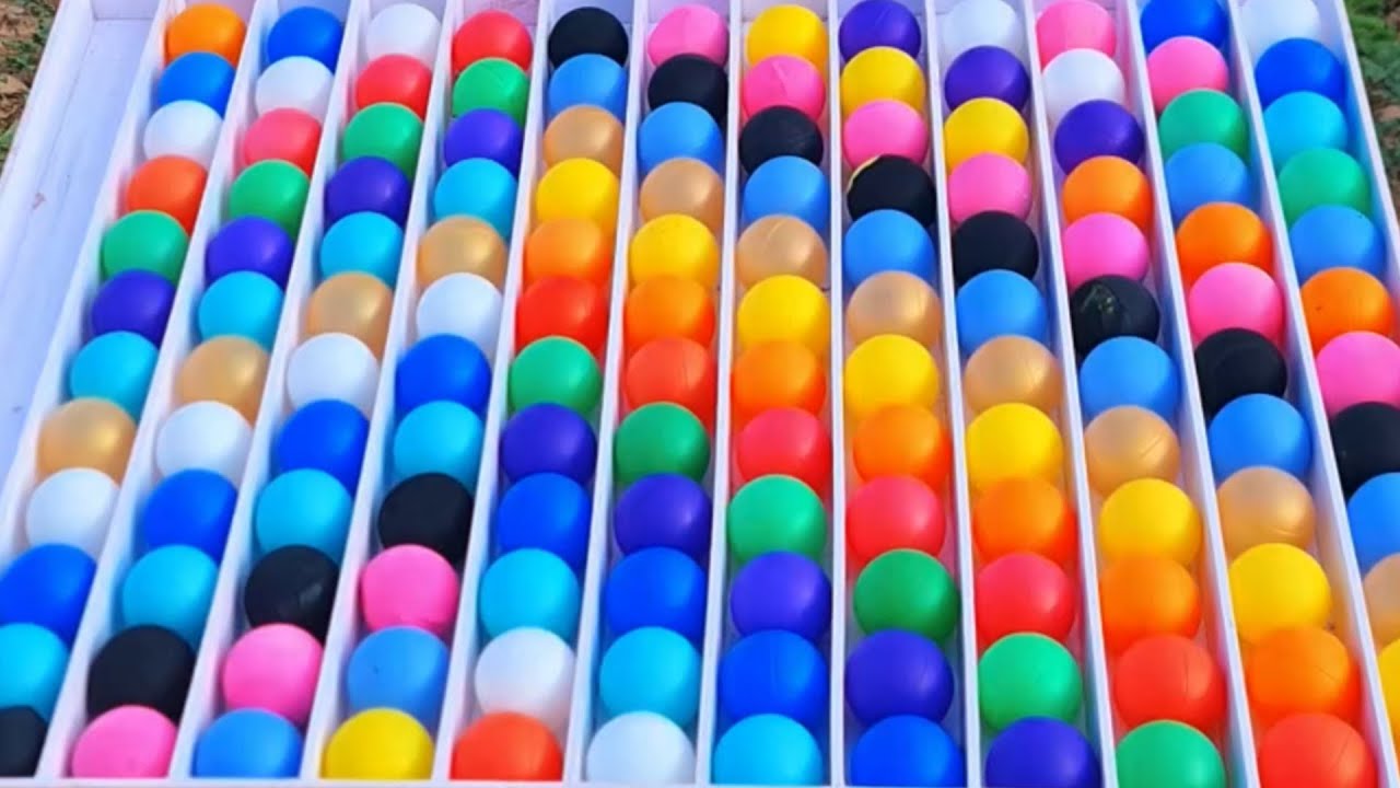 The Science of Sorting: Brain Boosters for Programmers