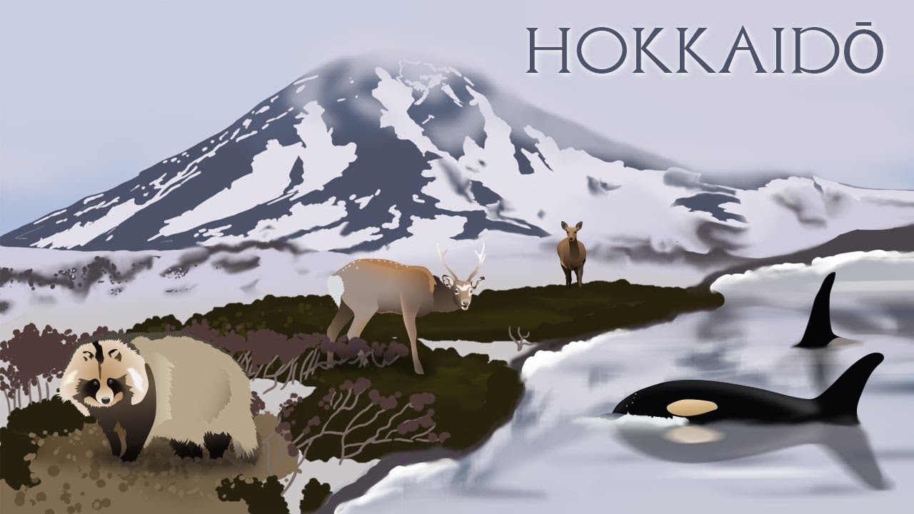 Immersion dans le Japon Sauvage (Hokkaidō)