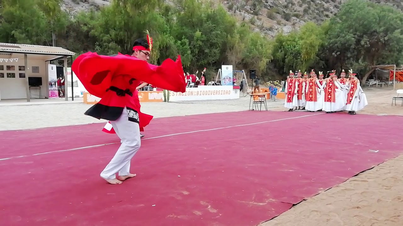 Danza colegio san José el indio diaguita