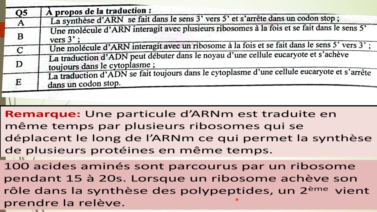 Corrigé de l'examen de l'entrée au faculté de médecine SVT  2021 -2022