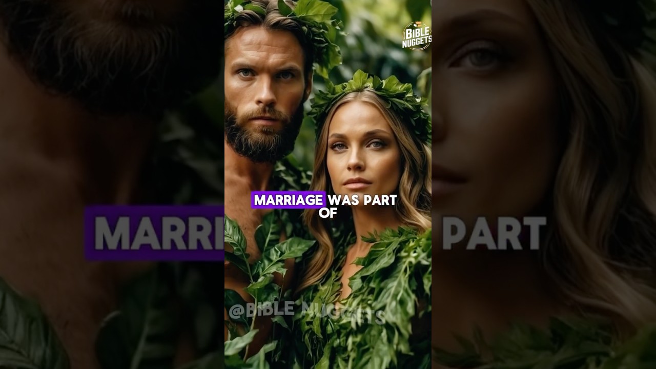 What Bible said about Marriage 