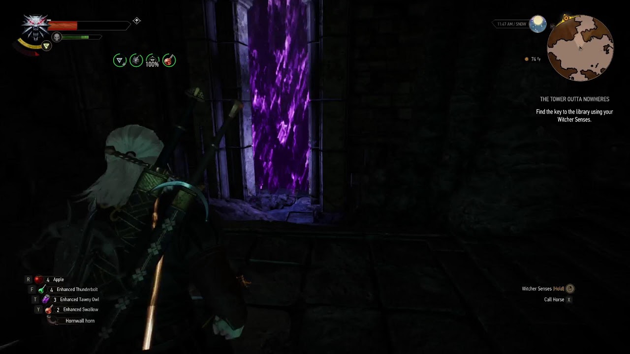 Witcher 3 Pt. 27