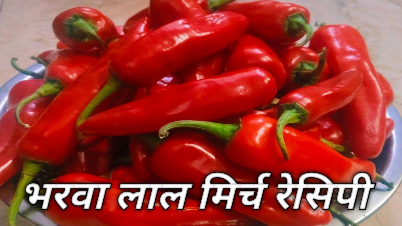 lal mirch ka achar| lal mirch ka achar recipe| लाल मिर्च का तीखा चटपटा बनारसी अचार बनाने की विधि