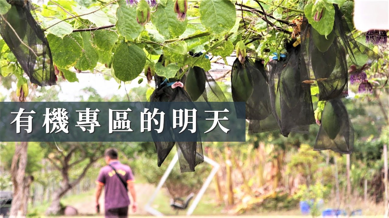 【農地開發】有機專區的明天｜橋頭科學園區進駐(公視 我們的島 第1047集 2020-03-23)