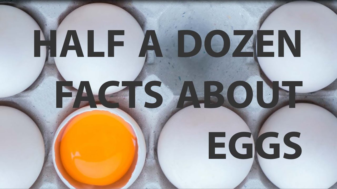 A Half Dozen Facts About Eggs