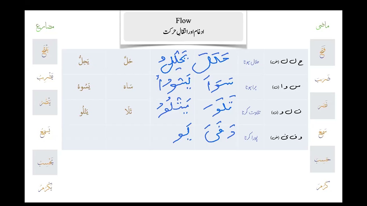 Arabic Grammar Revision 046 Flow PRACTICE ادغام اور انتقال حرکت