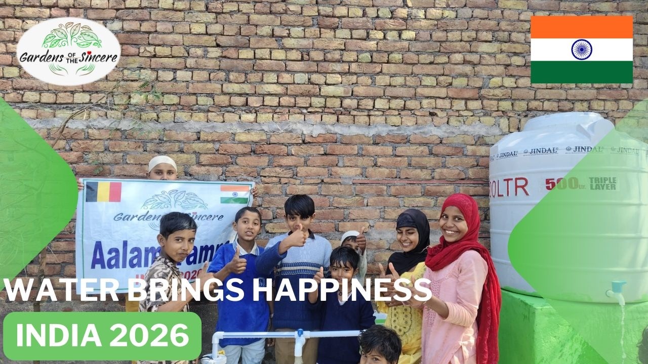 Waterwell India for 350€ 