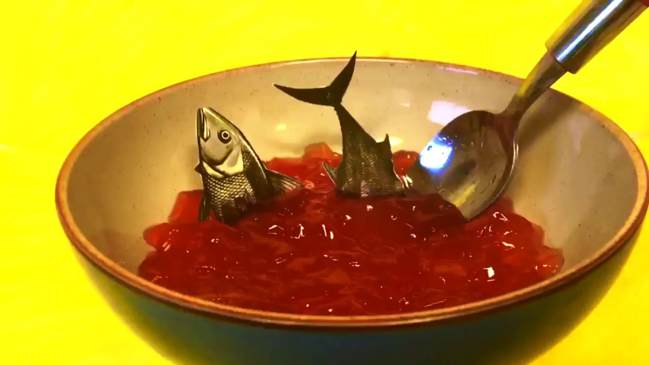 Shark Infested Custard - Fish Infested Jelly Music Video