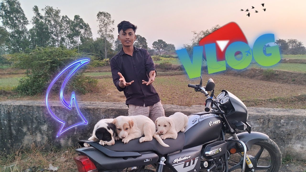 Puppy's🐶 ko bike 🏍 pe bitha diya#viral #vlog #funny#cute #cutepuppy #villagelife #comedy#trending 