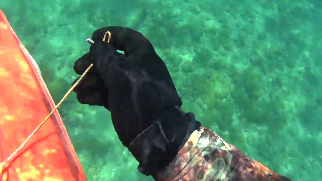 AQUA SCOOTER ρύθμιση