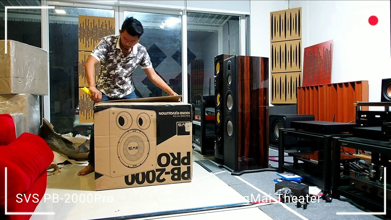 Unbox SVS PB-2000 Pro Subwoofer