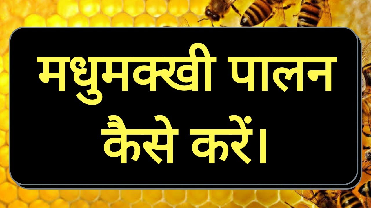 Bee Keeping-मधुमक्खी पालन कैसे करें -मधुमक्खी पालन