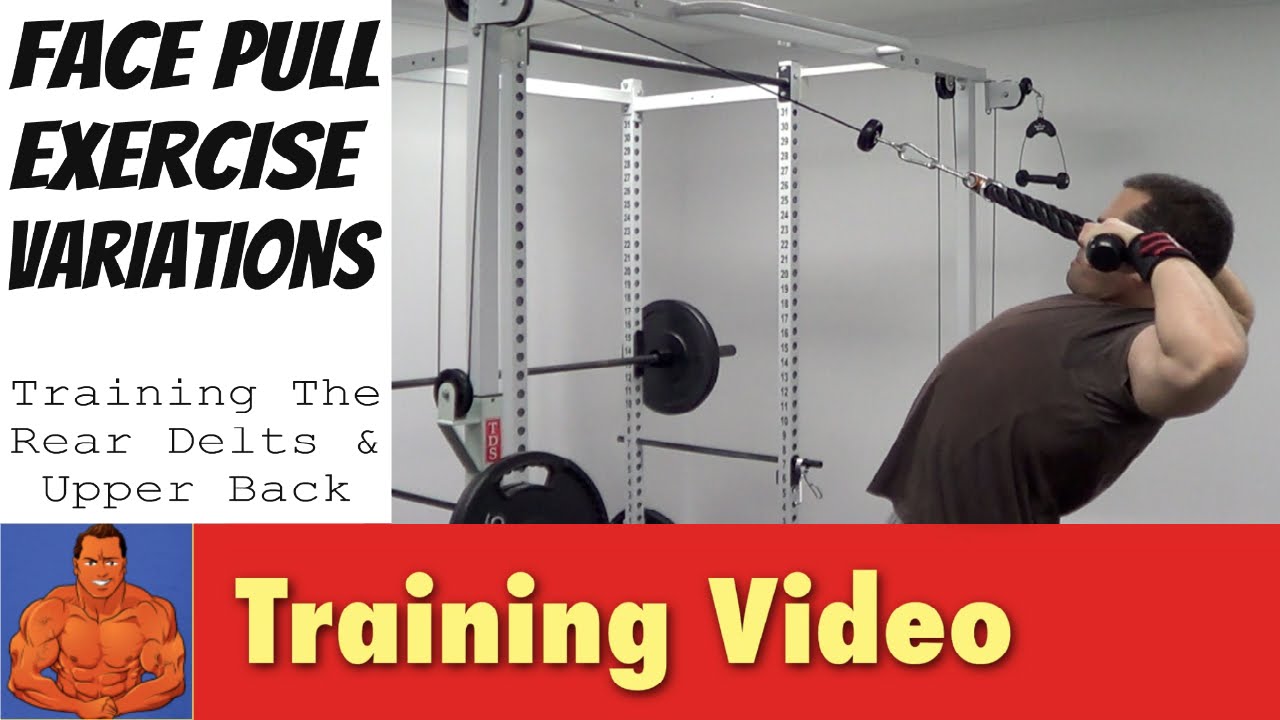 Face Pulls Alternative Exercise Variations