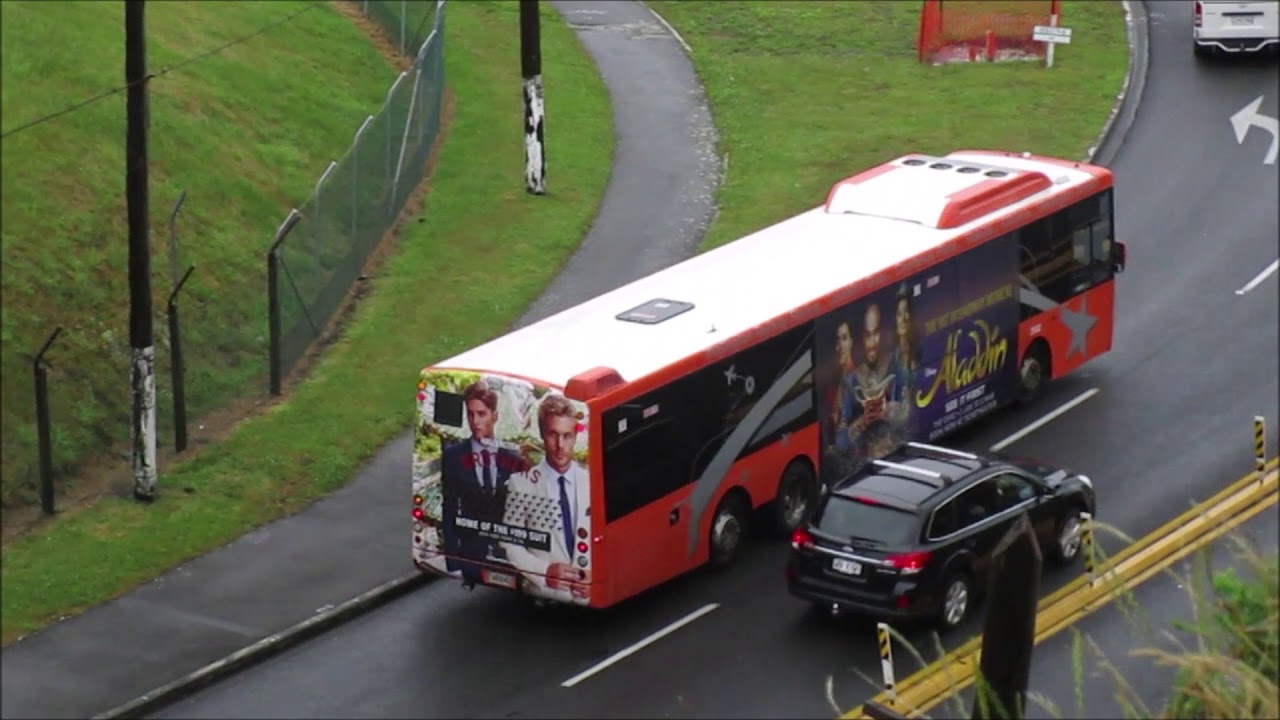 Buses around Wellington