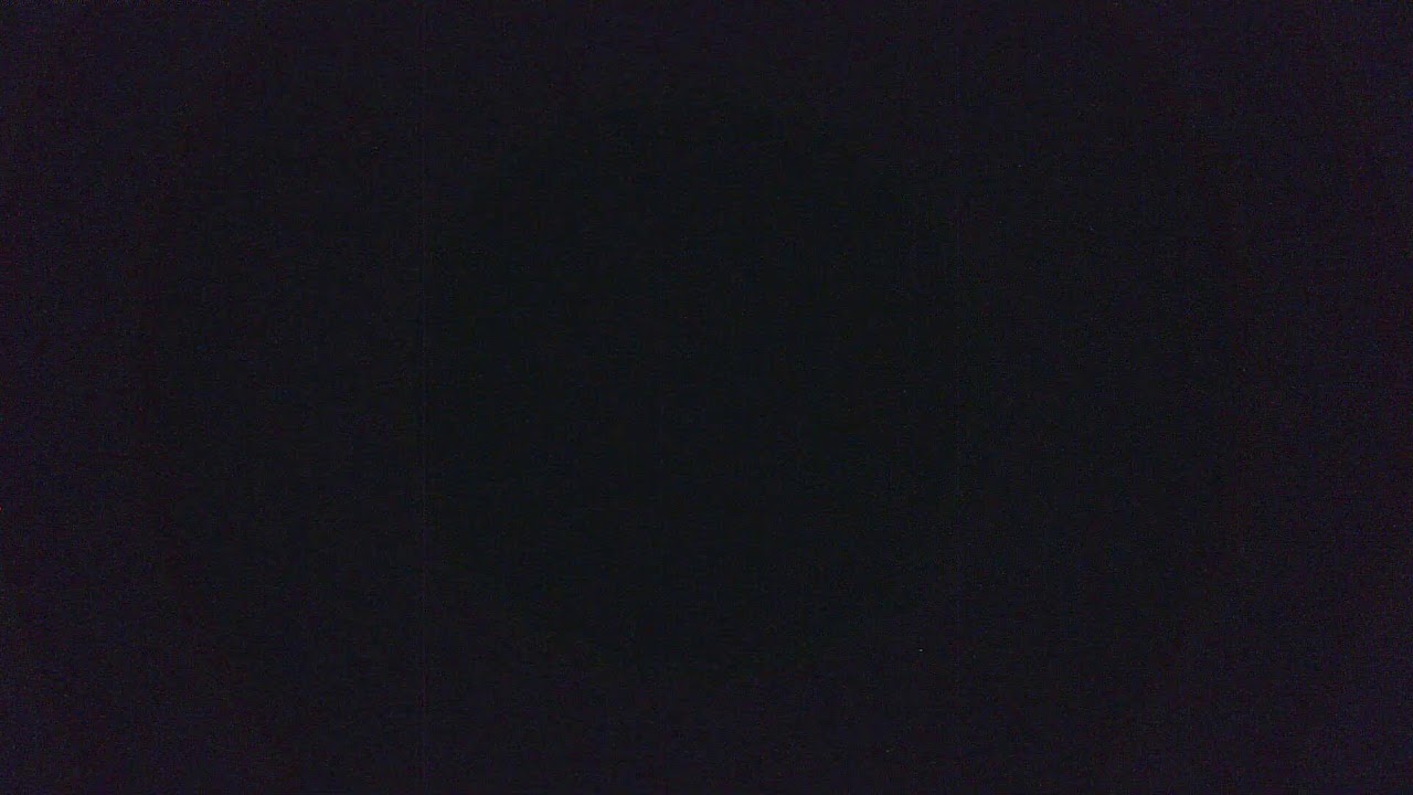 butterfly livestream