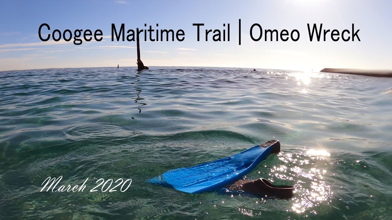 OMEO SHIPWRECK cuttlefish | Perth Western Australia Coogee