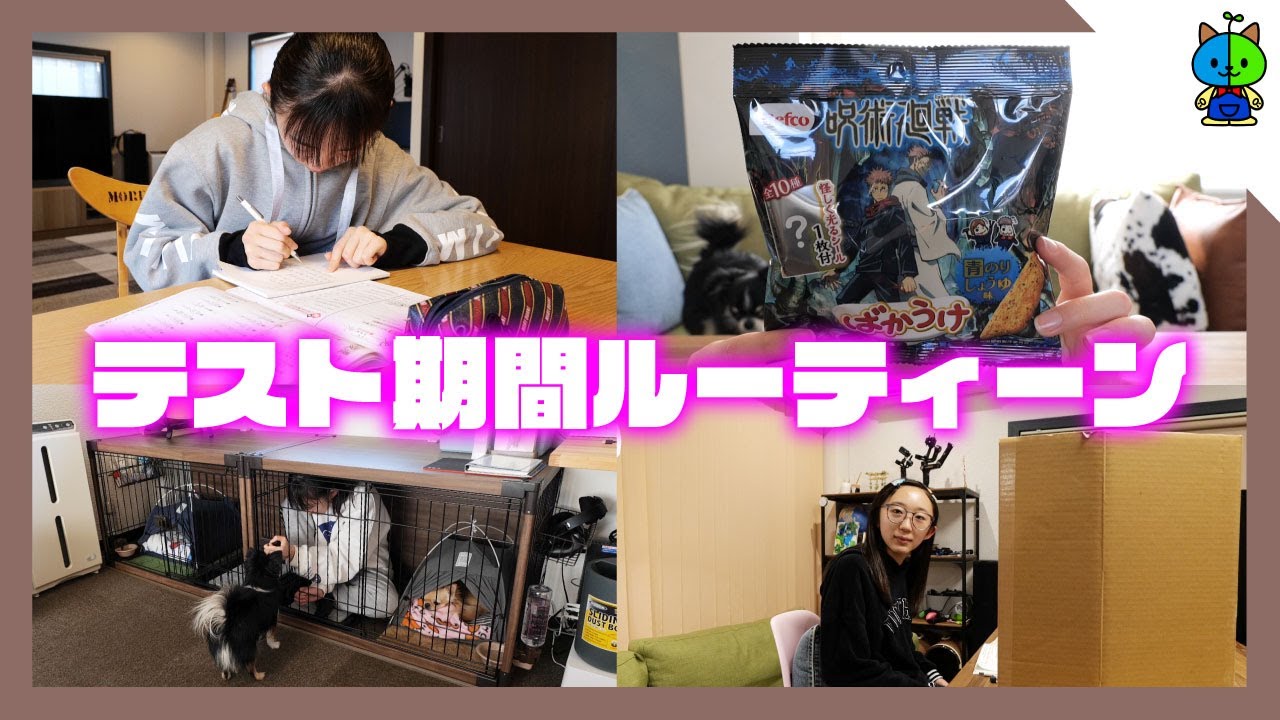 【ルーティーン】現役中学生のリアルテスト期間中の一日に密着！【ももかチャンネル】