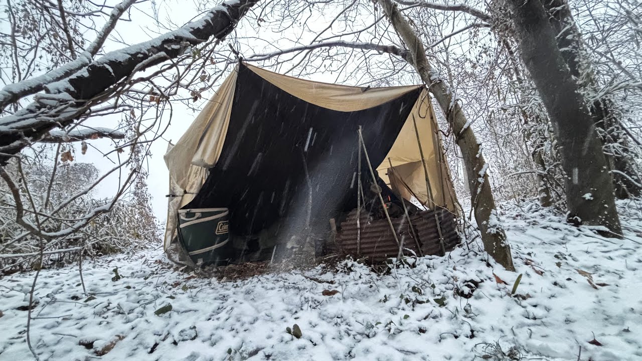 Overnight Camping/A certain green area 某緑地