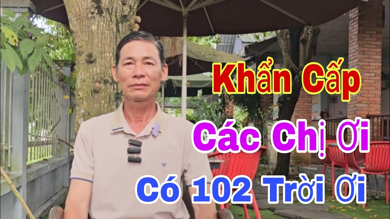#1169. TRỜI ƠI CÁC CHỊ ĐÂU RỒI ...