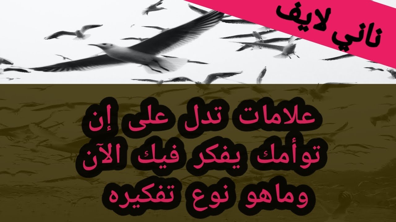 كيف تعرف إن الطرف الآخر يفكر بك الآن؟#الهارب متى يفكر بالمطارد؟