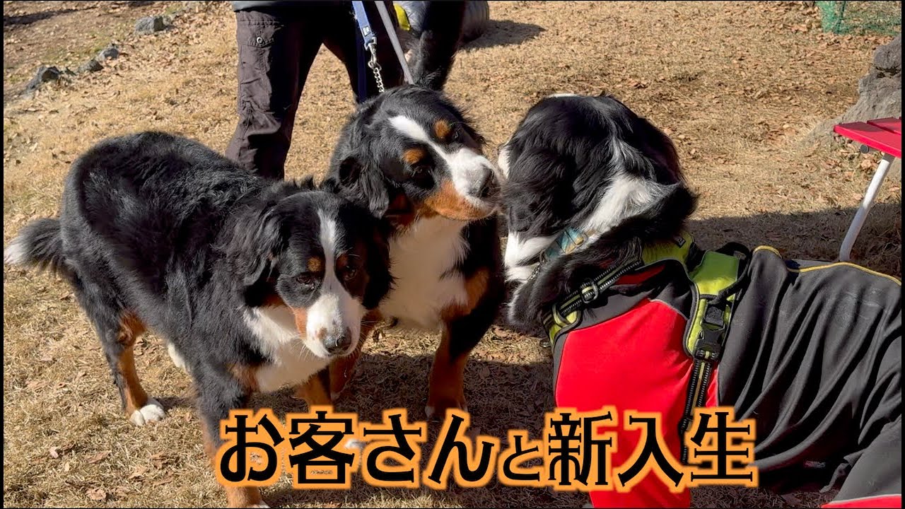 新入生に会いにお客さんが来た！