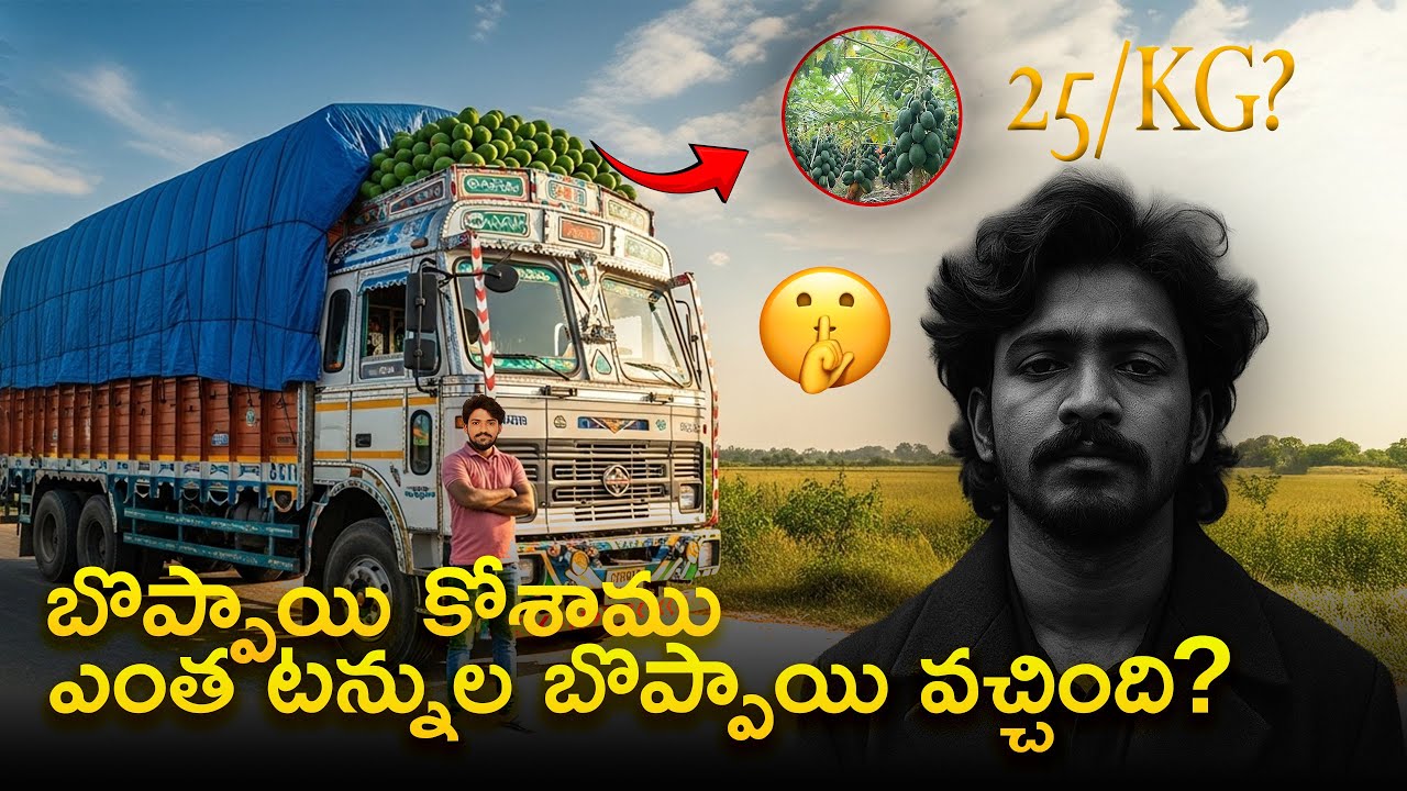 బొప్పాయిలు కేజీ ₹25 నిజమేనా 💸 ? ఇప్పుడే కోశాము 🥰 | Day - 12