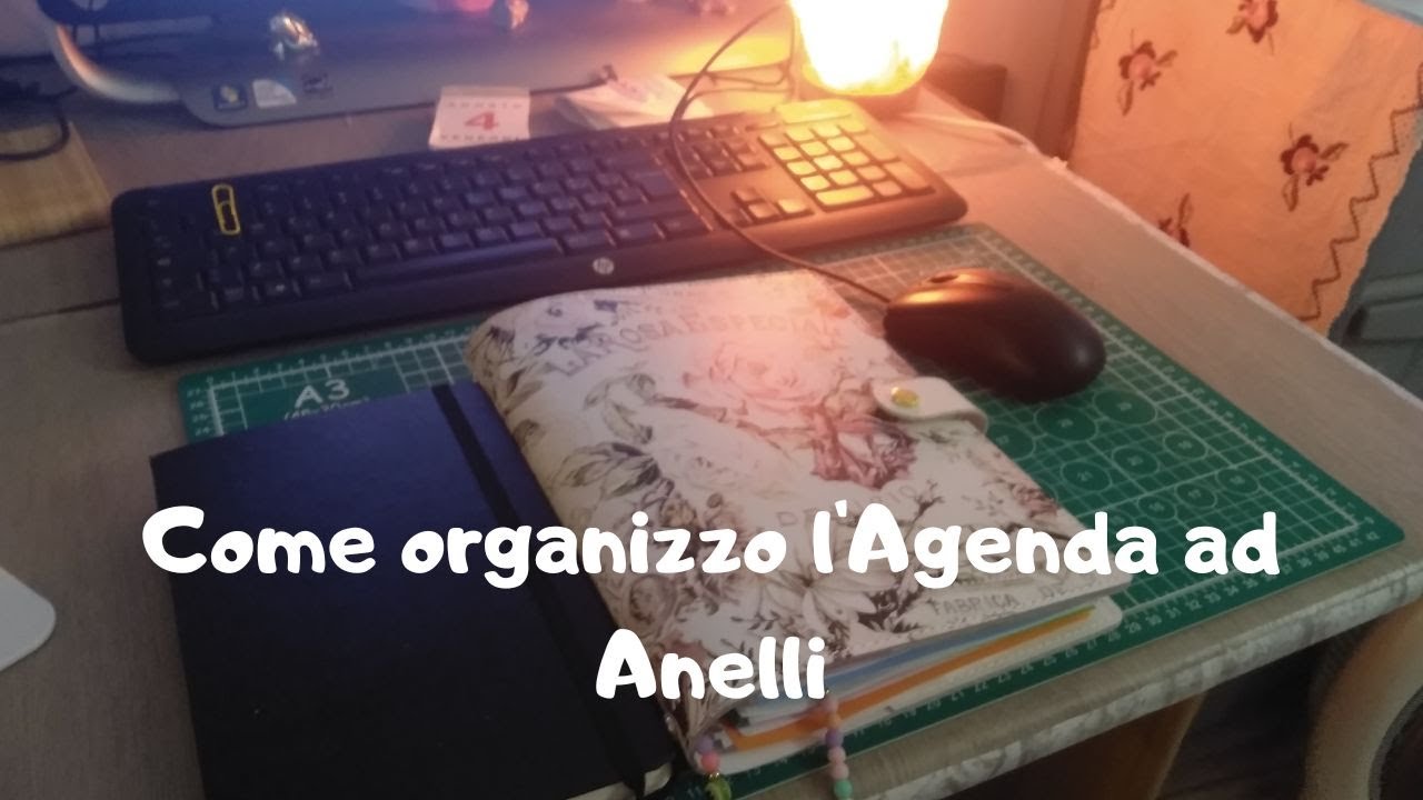Come organizzo la mia Agenda ad Anelli ( Richiesto da LaCipi )❤️😍