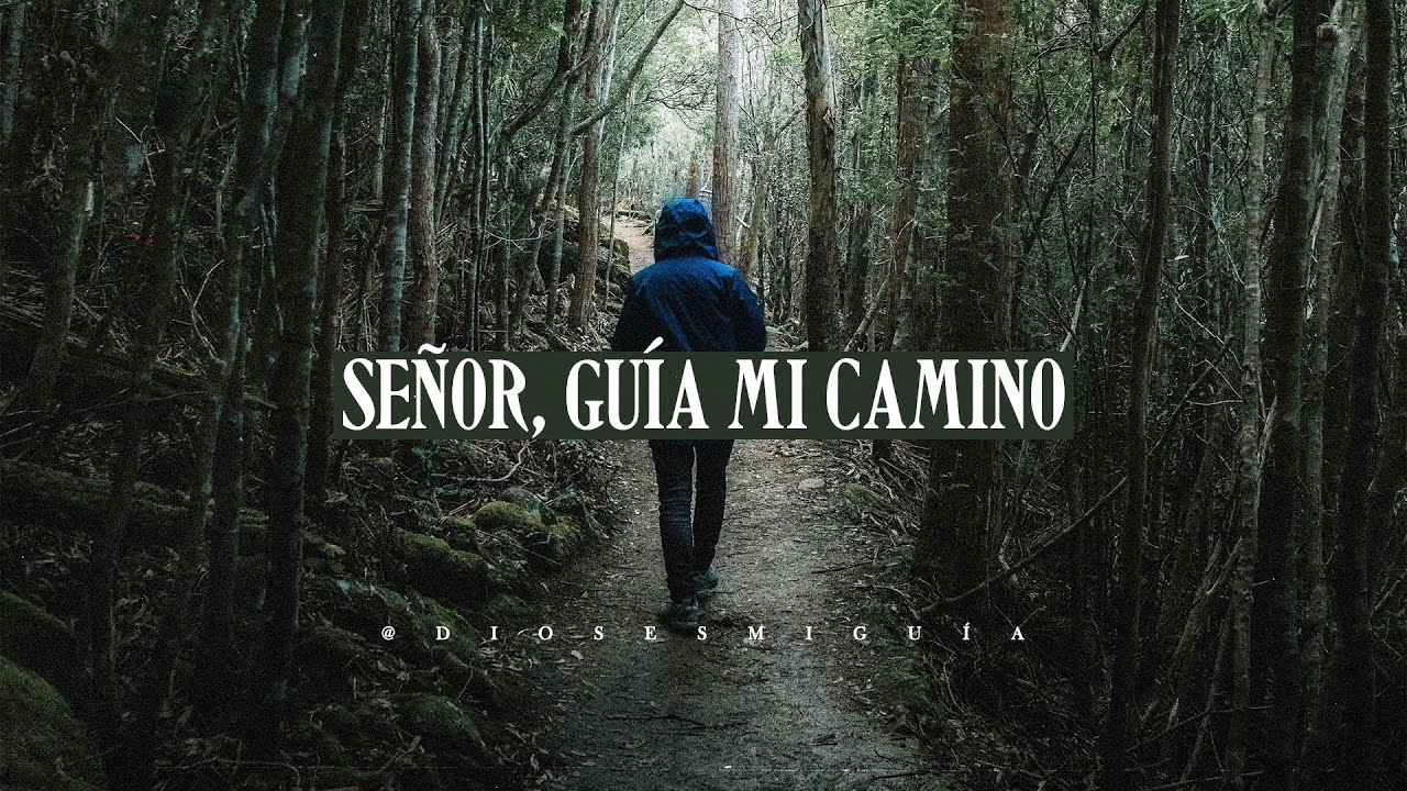Se&ntilde;or gu&iacute;a mi camino y ay&uacute;dame a alcanzar mis metas y proyectos | Dios es mi Gu&iacute;a