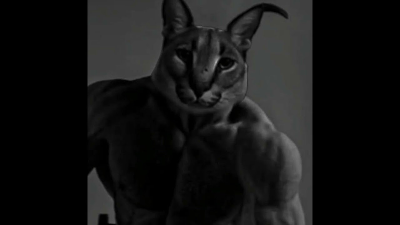 giga chad but phonk