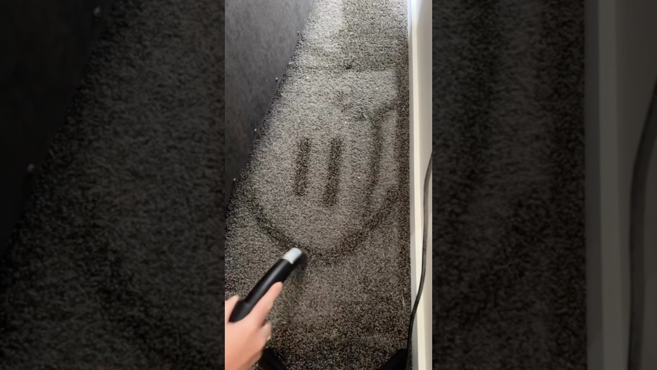 We ❤️ the Bissell Zing