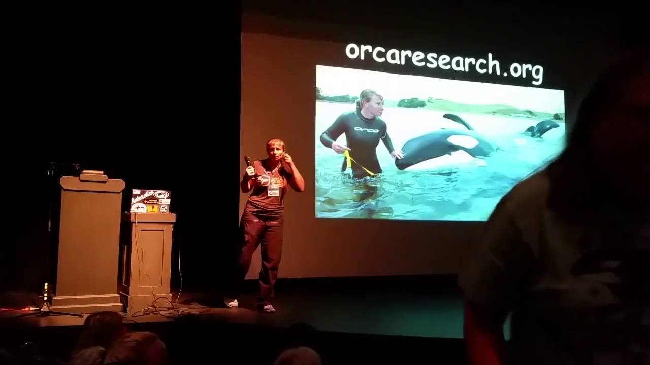 Superpod 5 - Dr. Ingrid Visser - New Zealand orca + LP Q&A