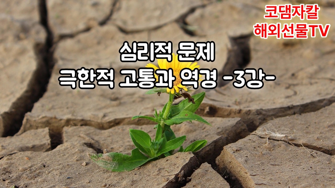 해외선물 - 심리적 문제 / 극한적 고통과 역경 -3강-