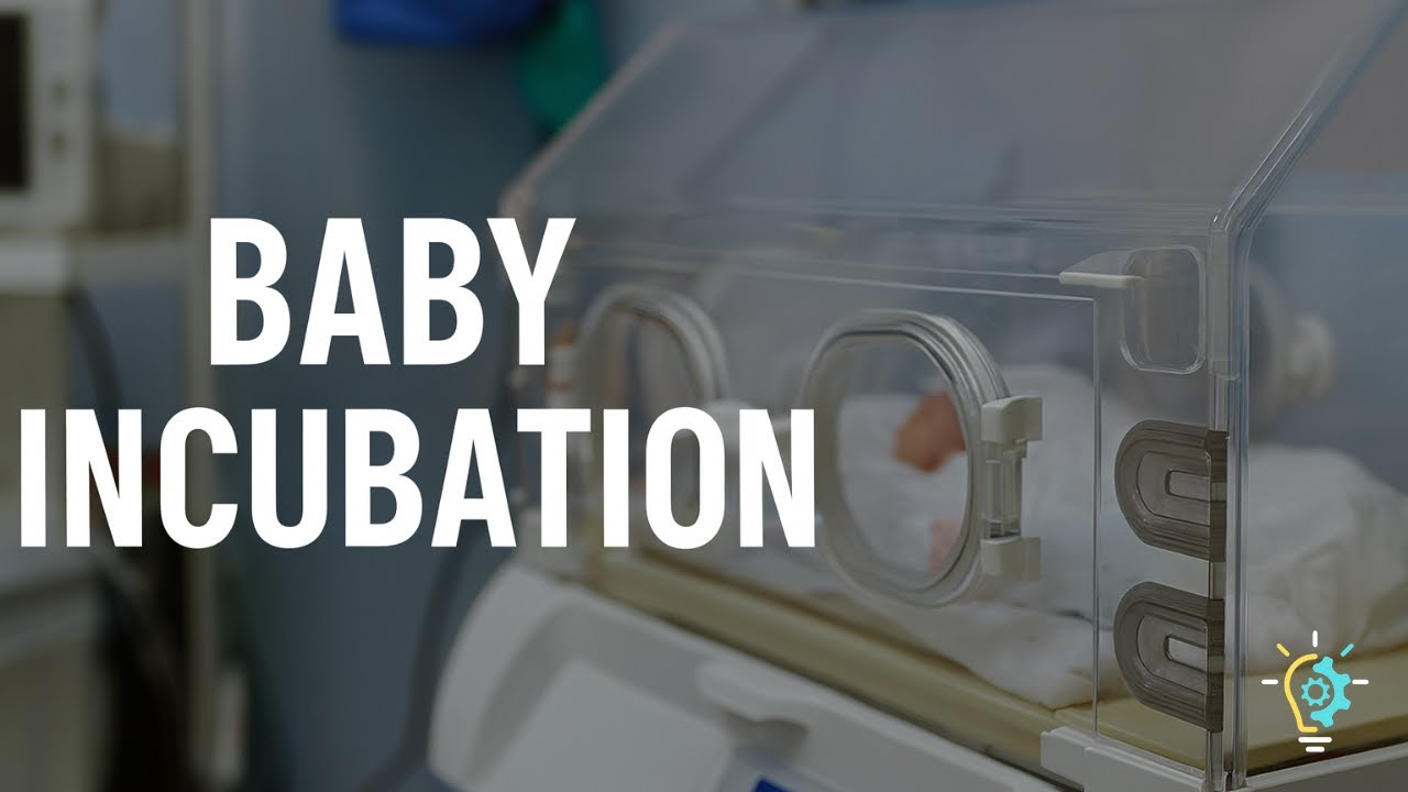 Baby Incubators Explained: Engineering Life Support for Newborns