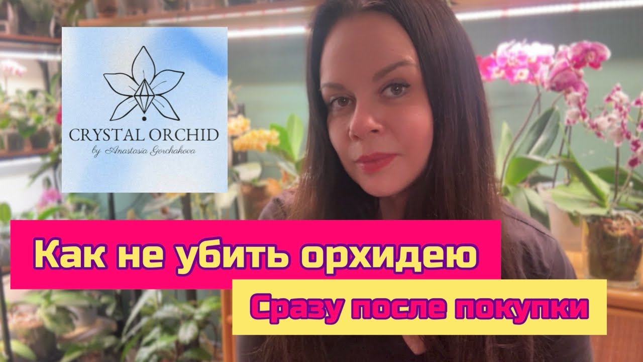 Уход за орхидеей после покупки в домашних условиях , для новичков #orchid #plants #поливорхидей 